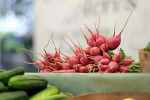 2015 FarmersMarket LakeShore 21