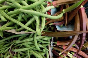 2015 FarmersMarket LakeShore 23