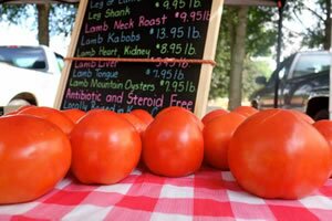 2015 FarmersMarket LakeShore 26