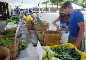 2015 FarmersMarket LakeShore 29