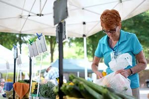 2015 FarmersMarket LakeShore 37