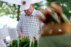 2015 FarmersMarket LakeShore 40