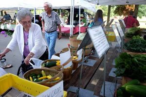 2015 FarmersMarket LakeShore 47